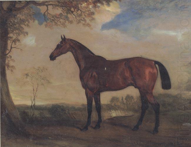 Portrait of a Hunter Mare,The Property of Robert shafto of whitworth park,durham, John Ferneley